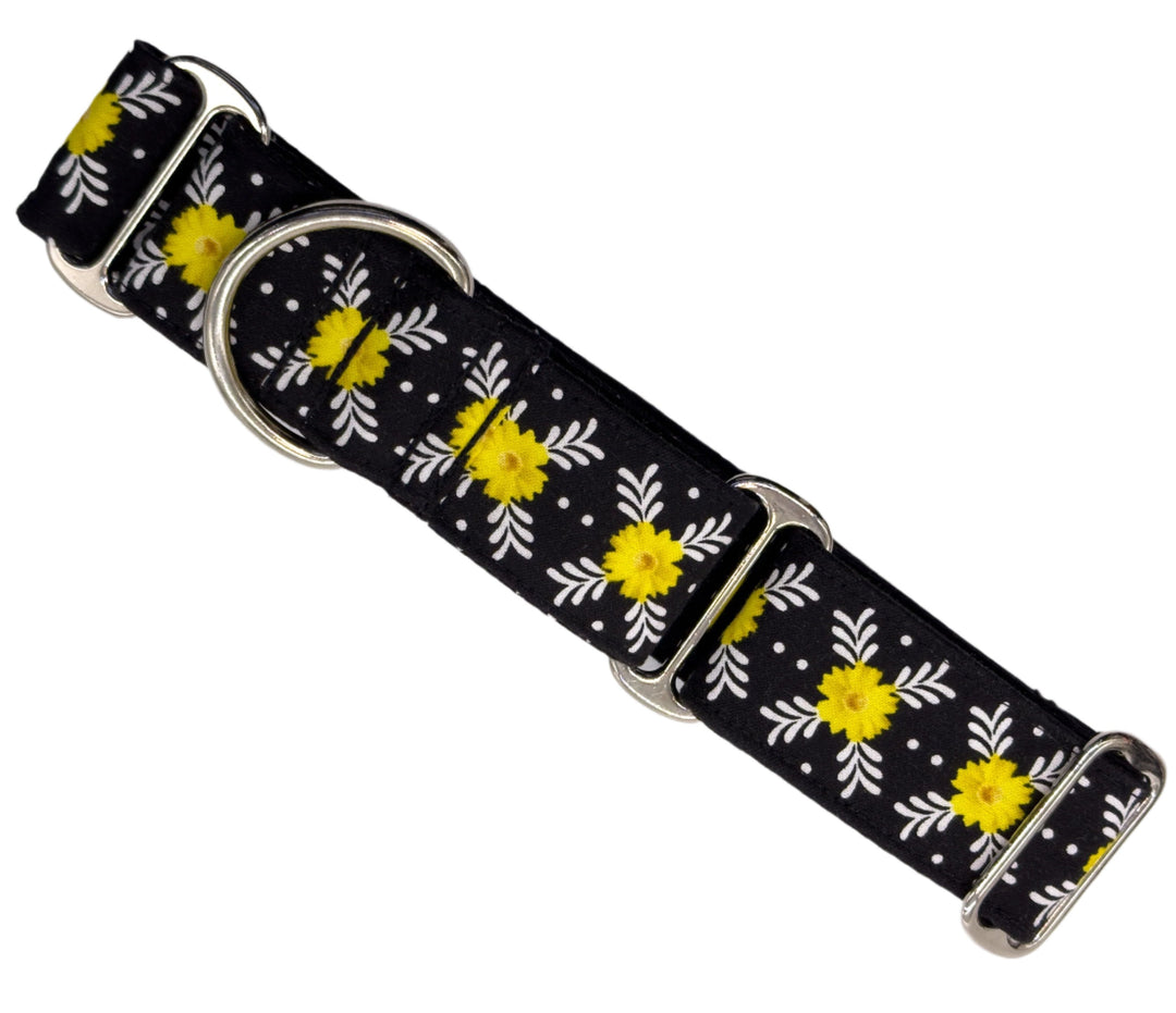 Martingale Collar - Daisy Delight Noir