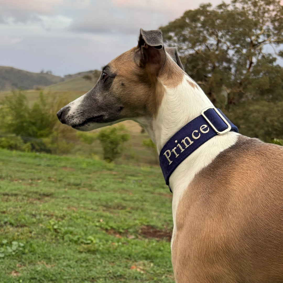Martingale Collar - Classic Navy