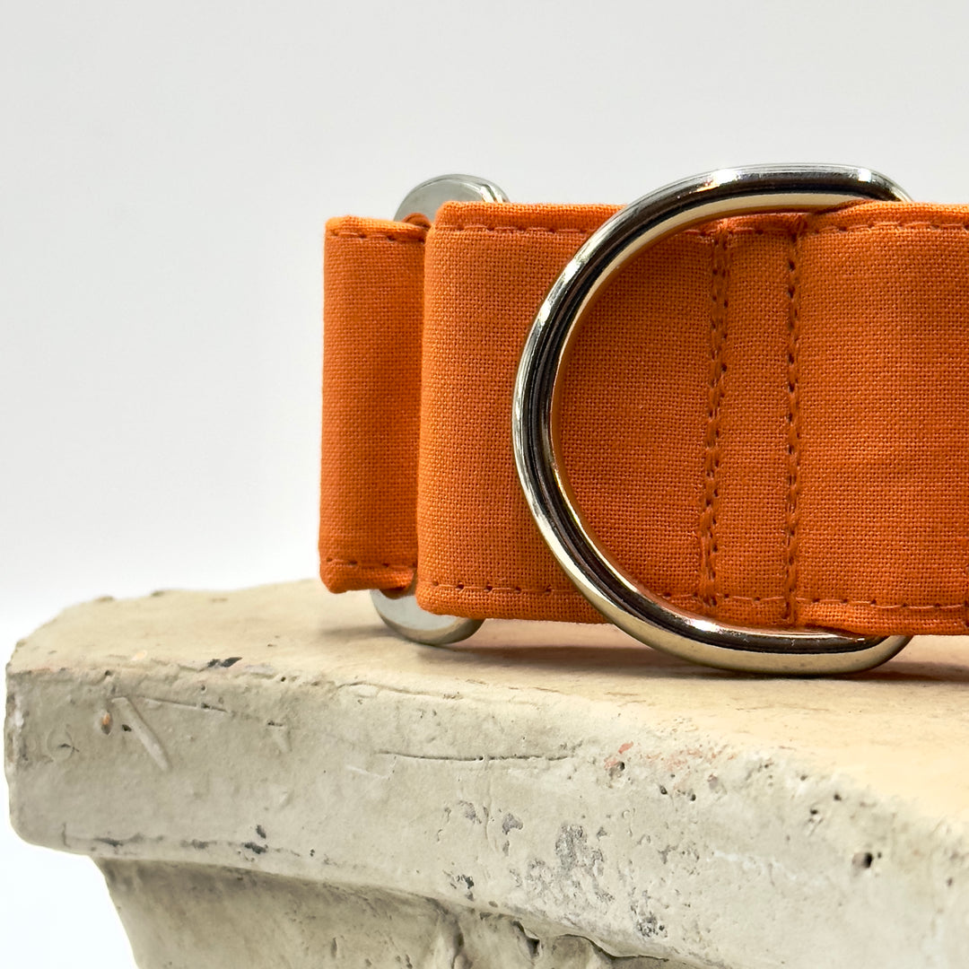 Martingale Collar - Autumn Blaze