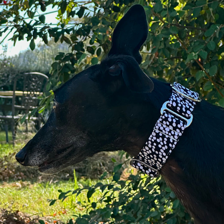 Martingale Collar - Spotted Serenity