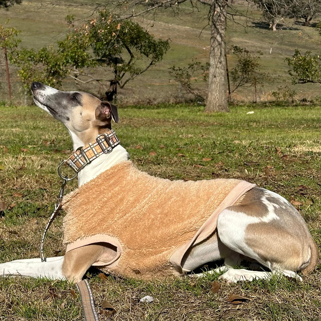 Martingale Collar - Furberry