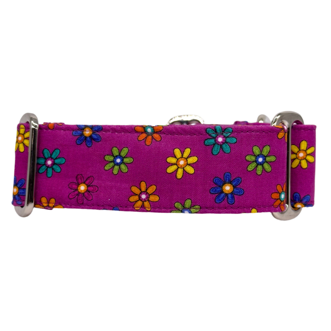 Martingale Collar - Magenta Blossom Bliss