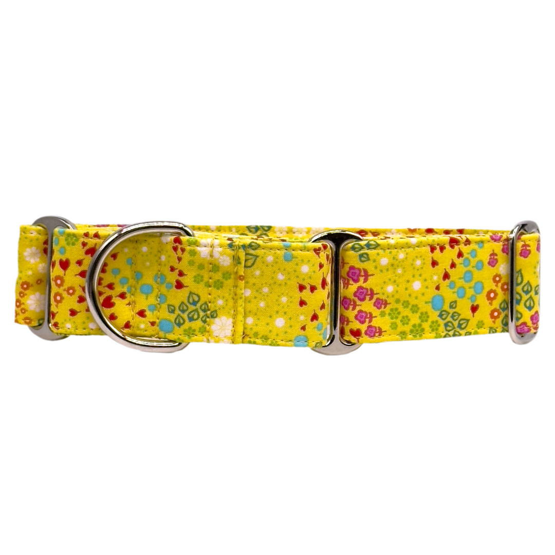 Martingale Collar - Sunsplash Blossom