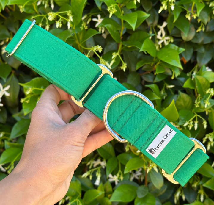 Martingale Collar – Forest Walk