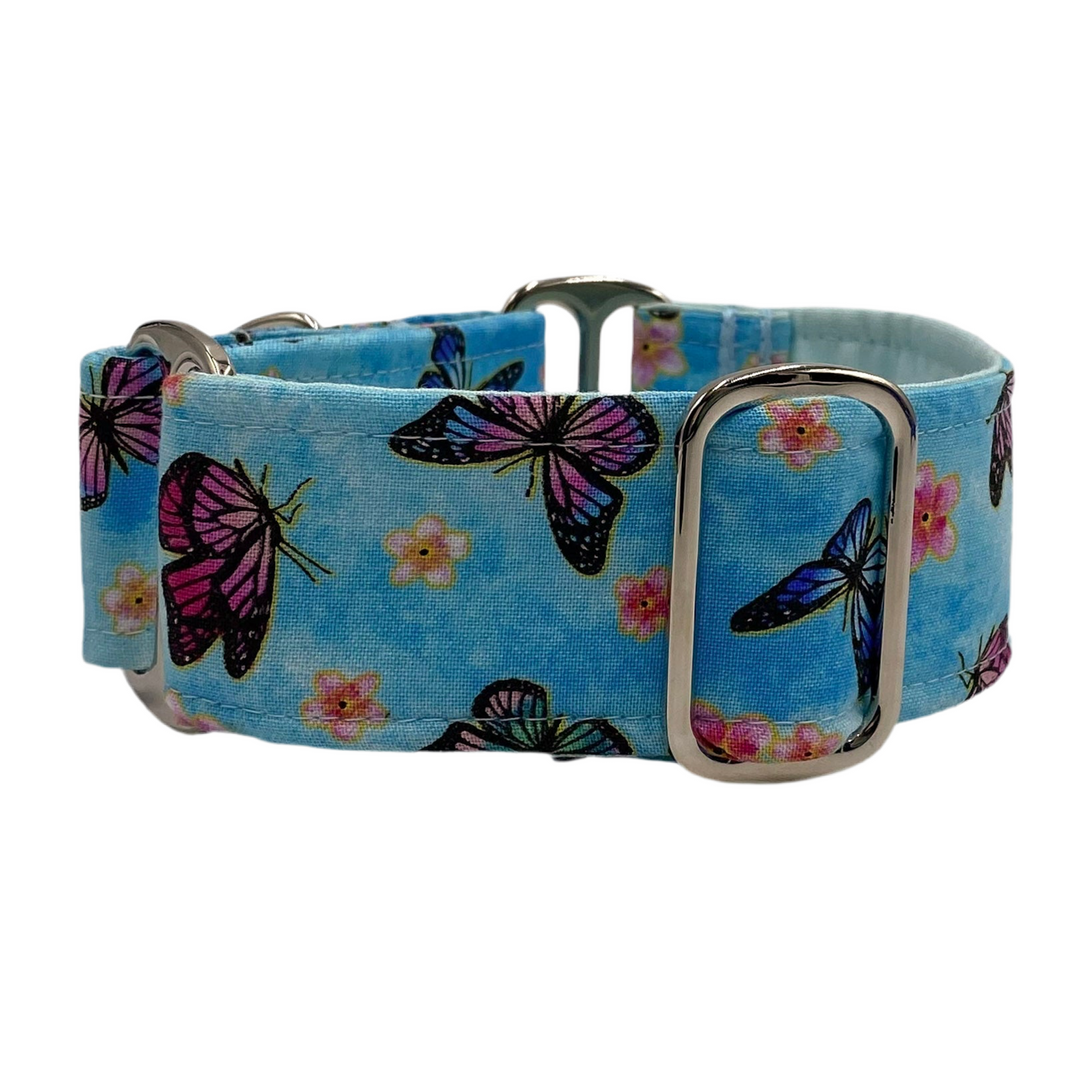 Martingale Collar - Ulladulla Blue Butterfly