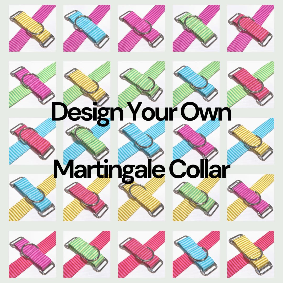 Design Your Collar - Spectrum Stripes Custom Martingale