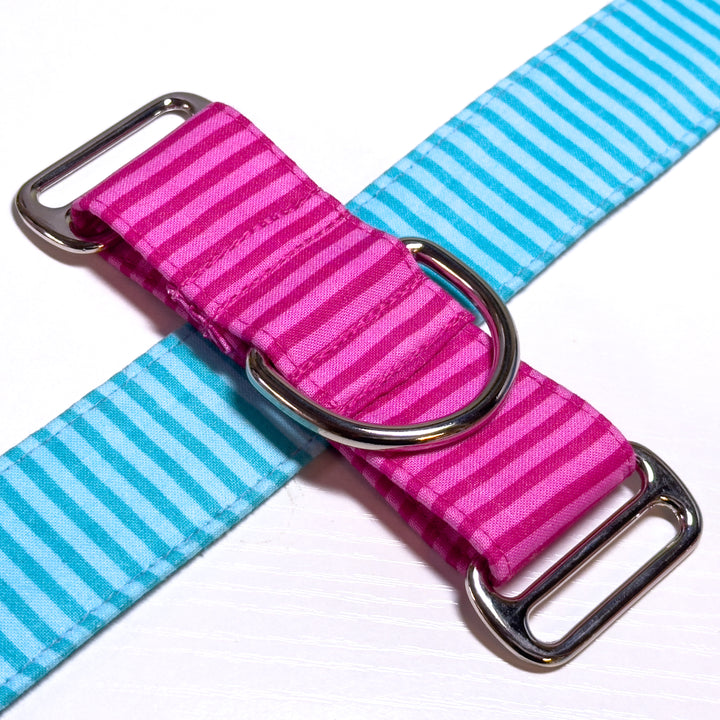 Design Your Collar - Spectrum Stripes Custom Martingale