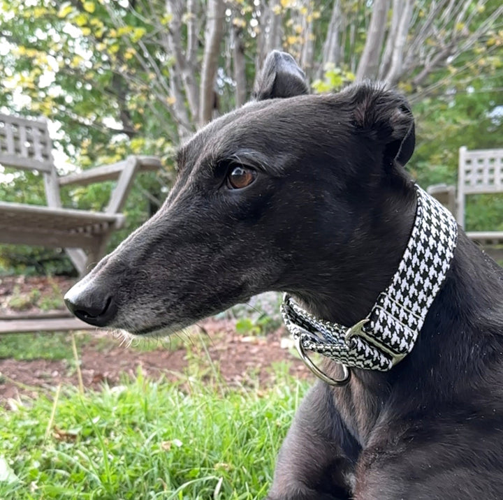 Martingale Collar - Houndstooth
