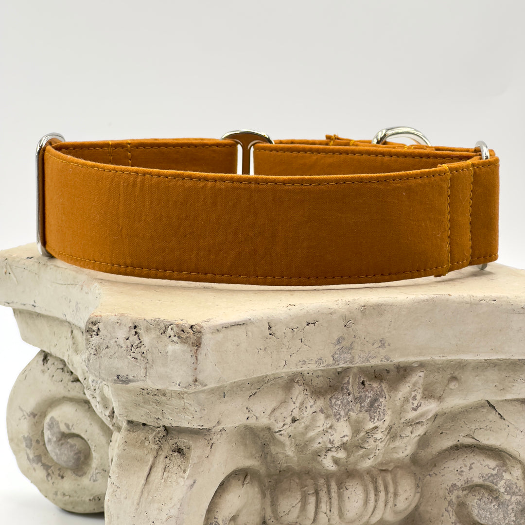 Martingale Collar - Harvest Amber