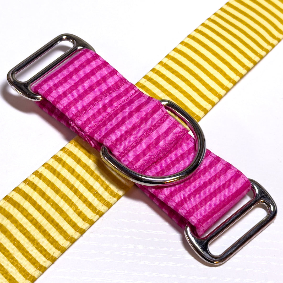 Design Your Collar - Spectrum Stripes Custom Martingale