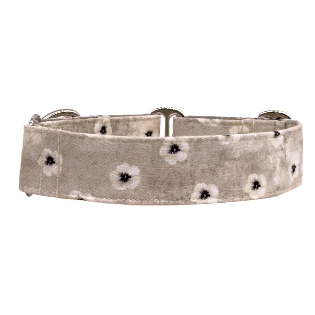 Martingale Collar - Daisy Drift