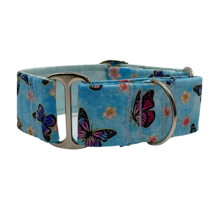 Martingale Collar - Ulladulla Blue Butterfly