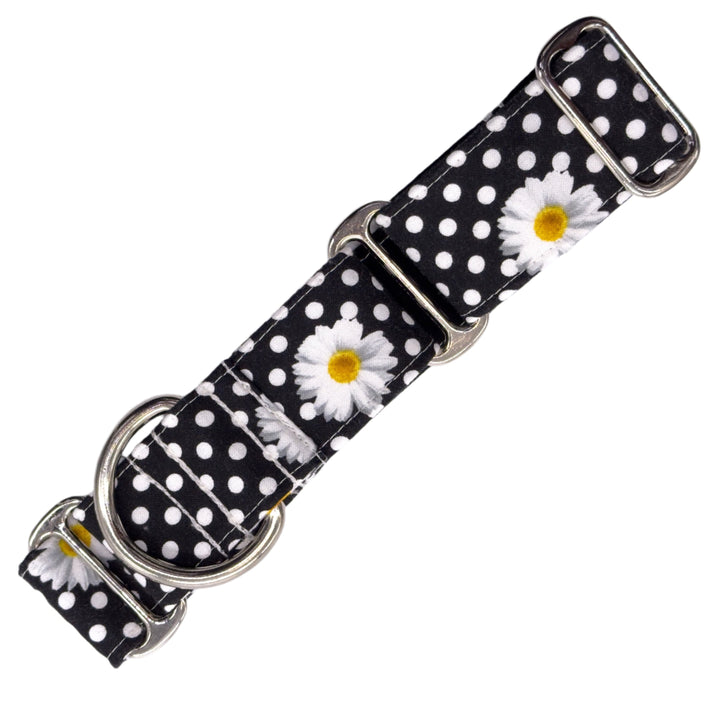 Martingale Collar - Polka Petal Elegance