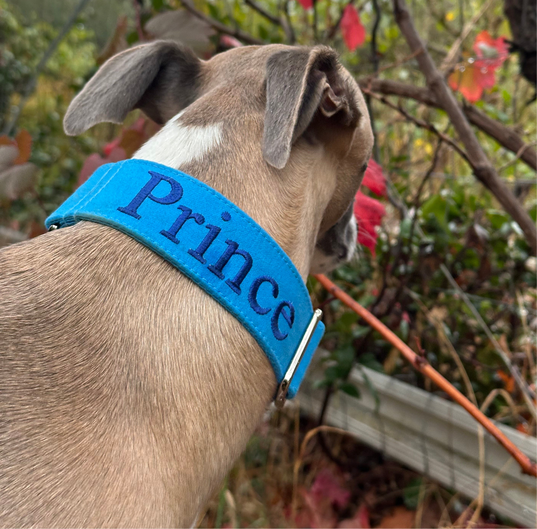Blue Me Away Martingale Collar – Furever Greys - Main Image