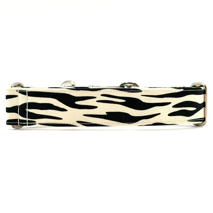 Martingale Collar - Midnight Safari