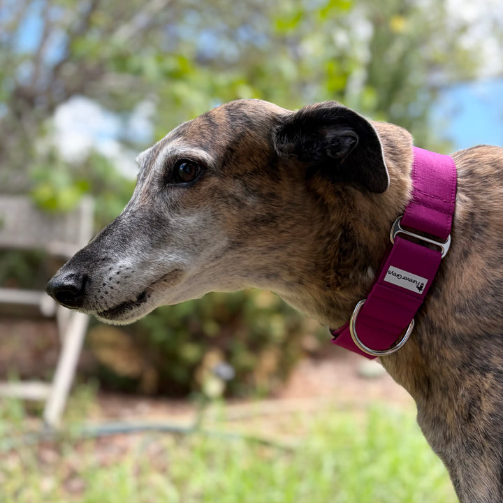 Martingale Collar - Mulberry Wine