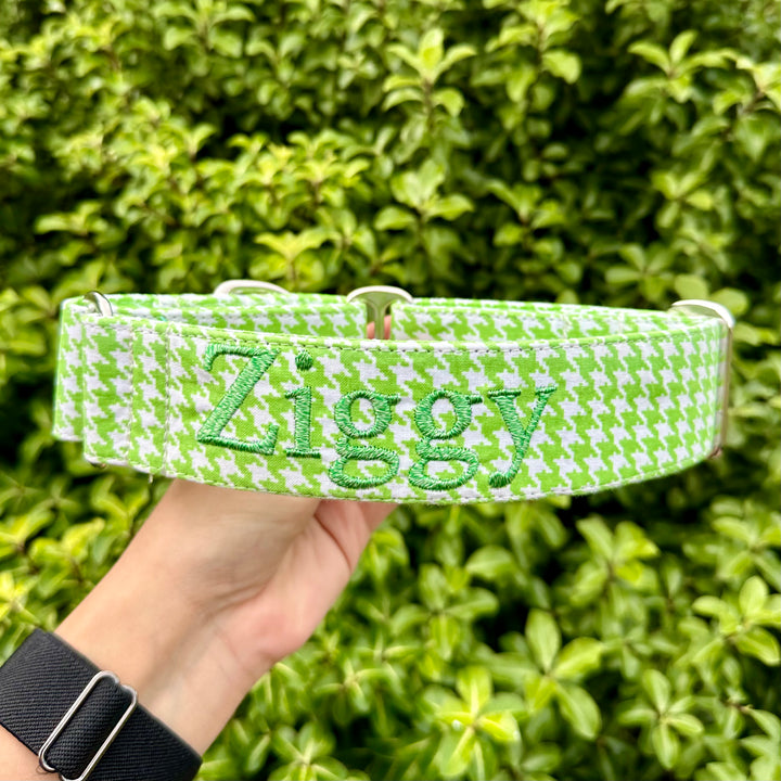 Martingale Collar - Sour Lime Slick