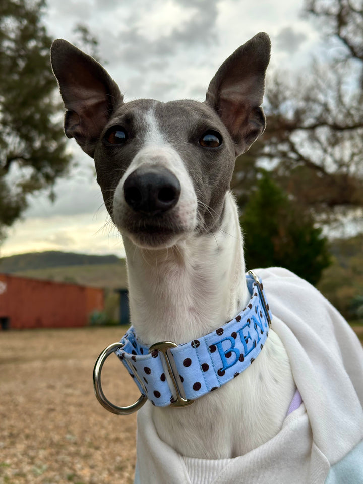 Martingale Collar - Dashing Dots