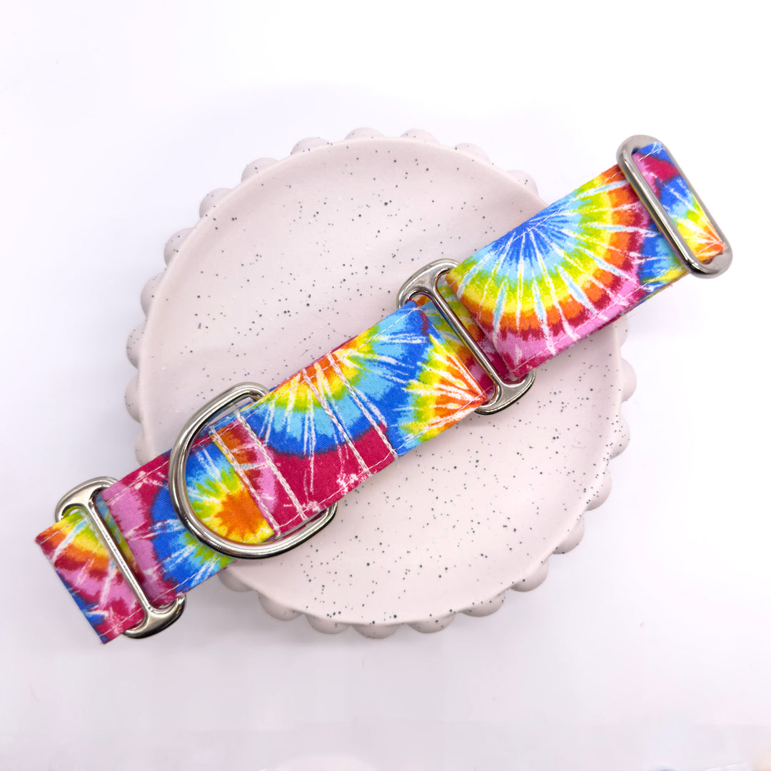 Martingale Collar - Rainbow Rapture Tie-Dye