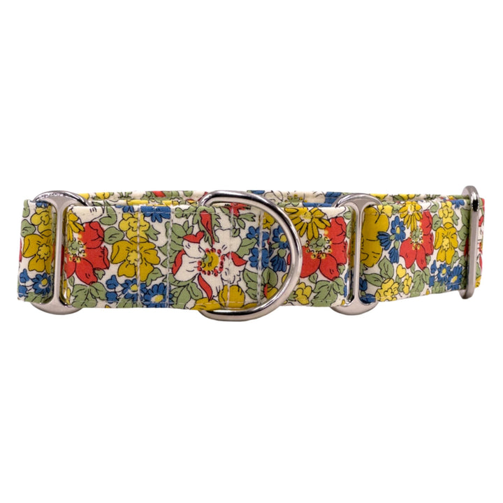 Vibrant martingale dog collar with a yellow and blue floral design on a green background, featuring sturdy silver hardware.