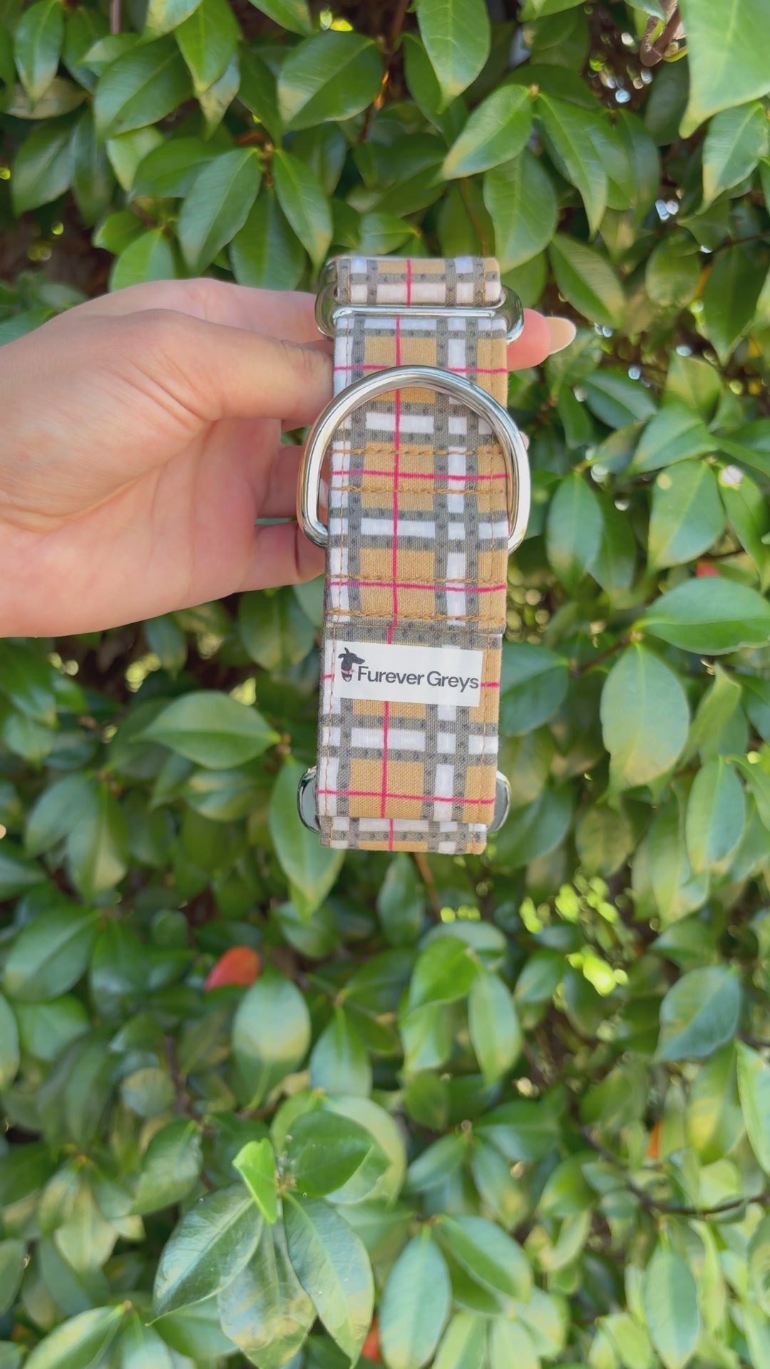 Martingale Collar - Furberry